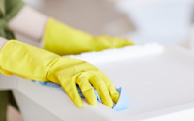 How Consistent Cleaning Can Prevent Pests