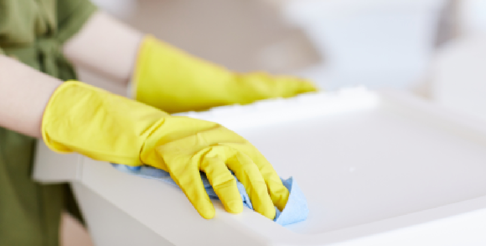 How Consistent Cleaning Can Prevent Pests