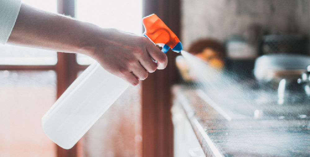 Common Kitchen Bacteria