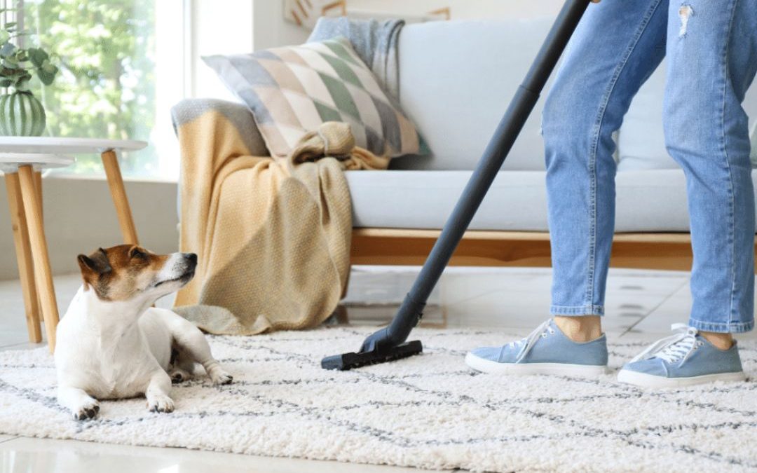 The Do’s and Don’ts of Vacuuming: Tips for a Better Clean