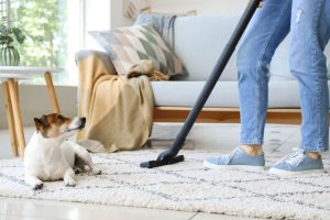 Master the art of vacuuming tips and techniques