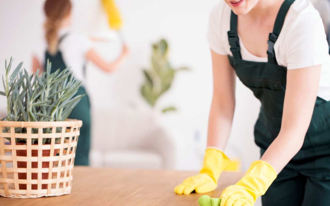 Effortless and Reliable House Cleaning in Phoenix, AZ, for a Spotless Home