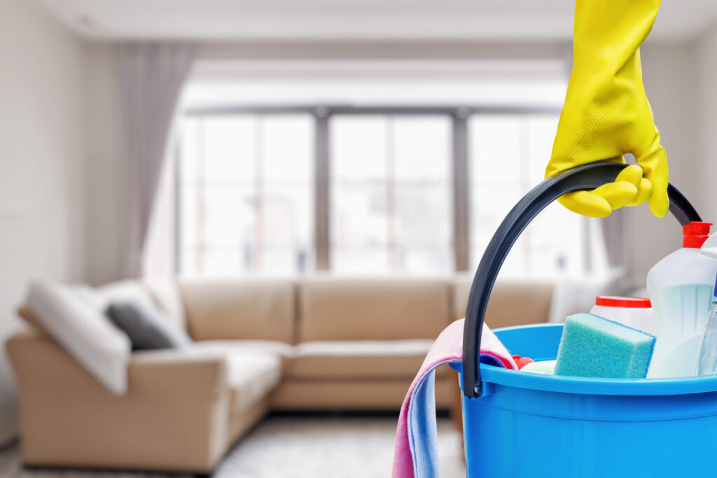 Professional Cleaning Services